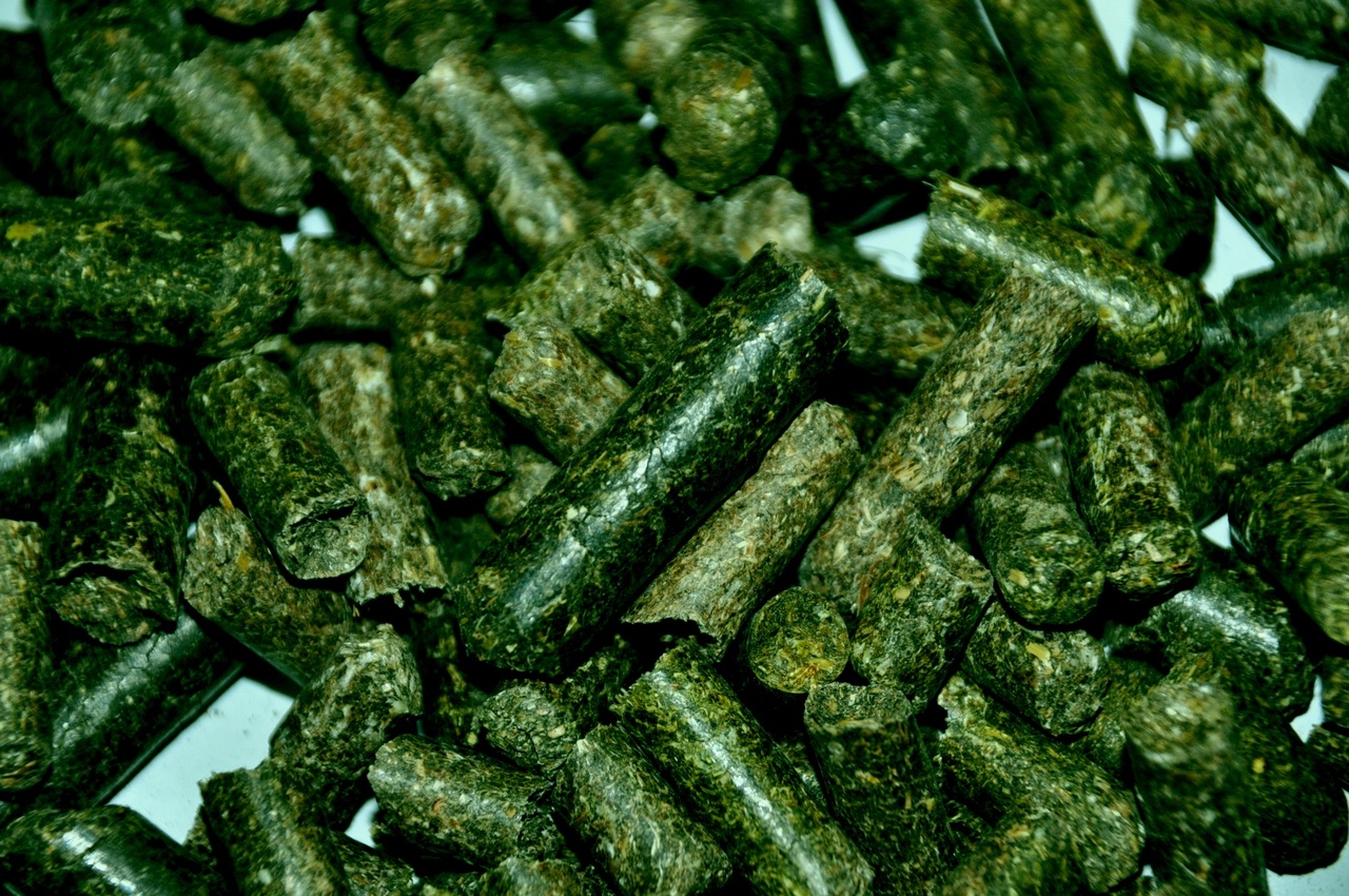 Травяные гранулы (люцерна), 25кг